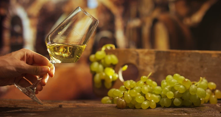 200 Weißweine – regionale Vielfalt im Glas